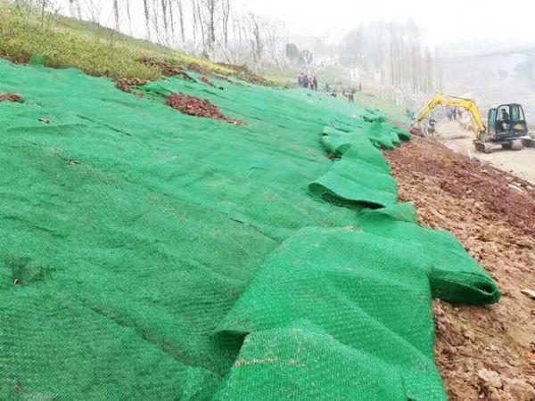 植被網施工案例